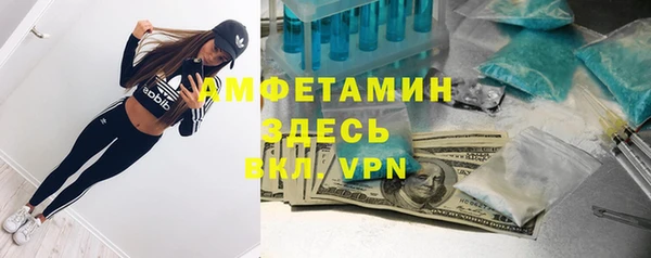метадон Алексин